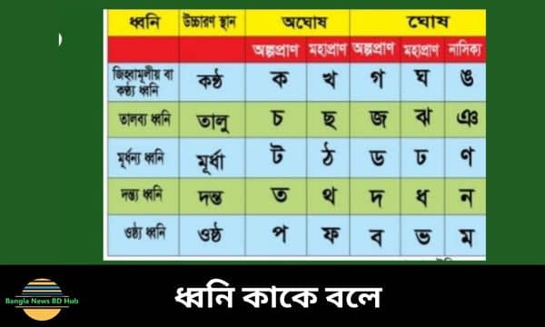 ধ্বনি কাকে বলে