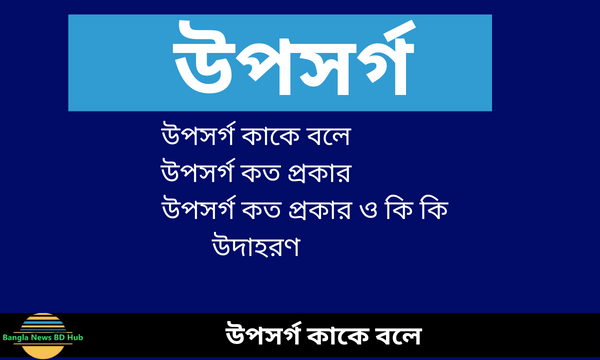 উপসর্গ কাকে বলে