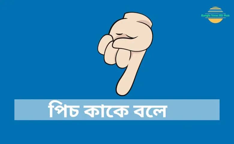 পিচ কাকে বলে