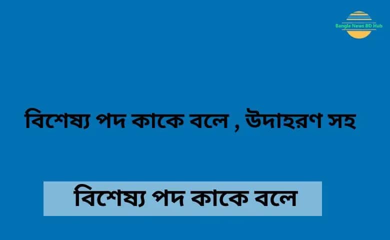 বিশেষ্য পদ কাকে বলে