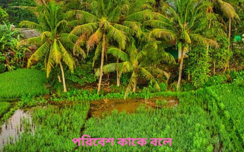 পরিবেশ কাকে বলে